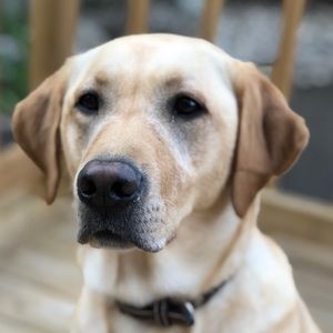 Meet your Posher, Kelsey